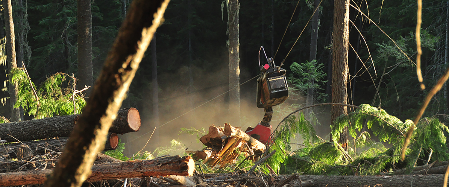 FE microcredential banner